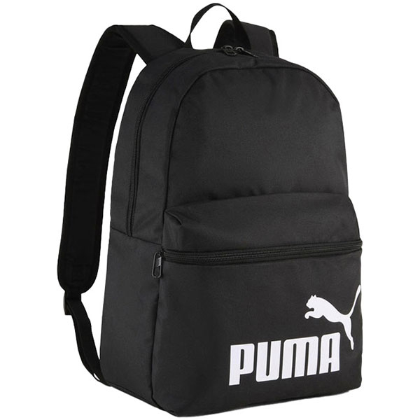 ranac-phase-1zip-1dzep-puma-091164-01-crni