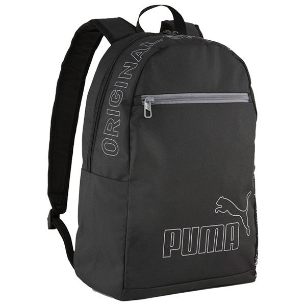 ranac-phase-ii-1zip-1dzep-puma-091166-01-crni