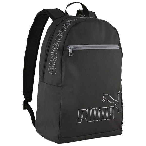 ranac-phase-ii-1zip-1dzep-puma-091166-01-crni